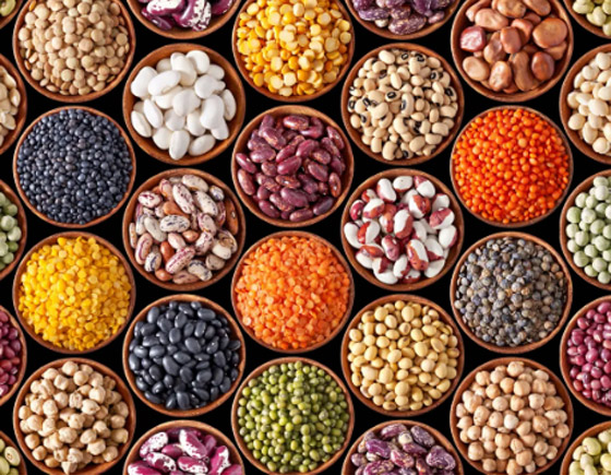 أطعمة غنية بالبروتين تساعد على خفض الكوليسترول منها الفول صورة رقم 3