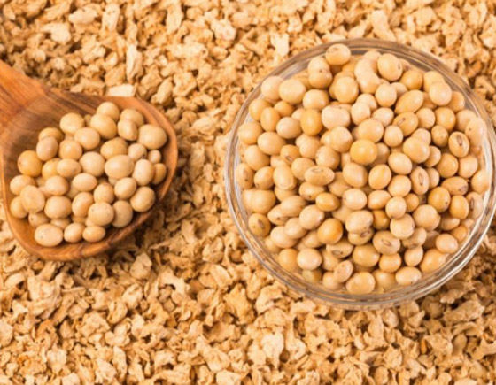 أطعمة غنية بالبروتين تساعد على خفض الكوليسترول منها الفول صورة رقم 5