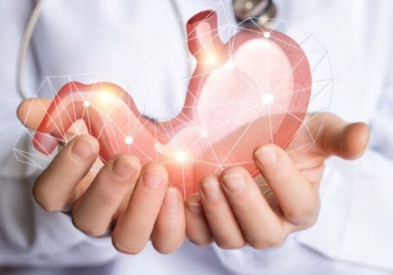 5 طرق لتحسين صحة أمعائك بشكل طبيعي صورة رقم 3