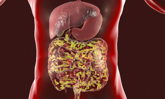 5 طرق لتحسين صحة أمعائك بشكل طبيعي صورة رقم 6