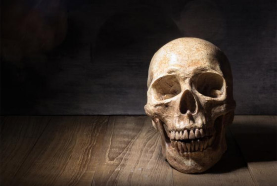 أغرب 10 أشياء تمت مصادرتها في المطارات صورة رقم 1