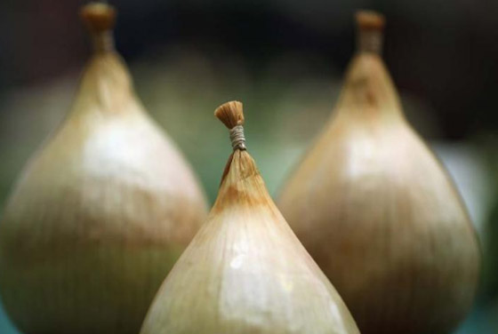 أغرب 10 أشياء تمت مصادرتها في المطارات صورة رقم 7