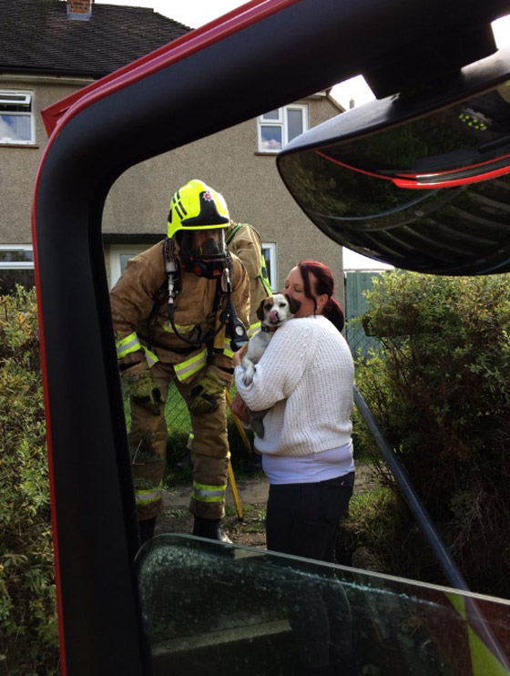 إزالة الخواتم العالقة في الأصابع! أغرب المهام التي قام بها رجال الإطفاء صورة رقم 3