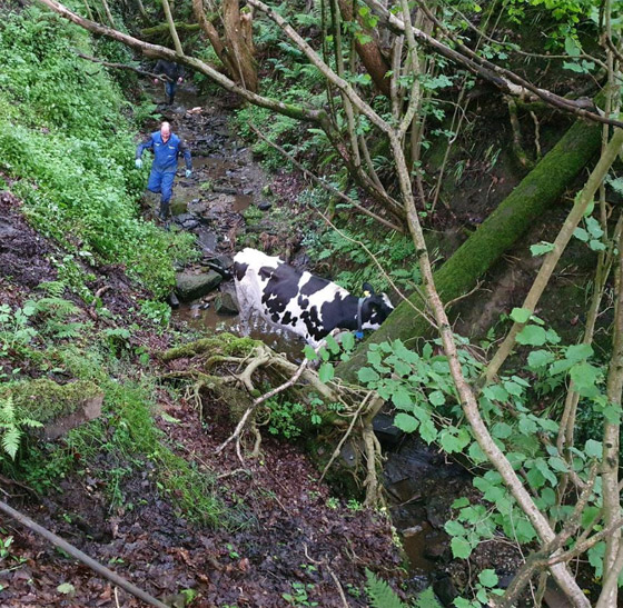 إزالة الخواتم العالقة في الأصابع! أغرب المهام التي قام بها رجال الإطفاء صورة رقم 6
