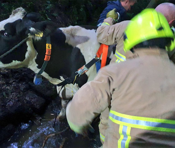 إزالة الخواتم العالقة في الأصابع! أغرب المهام التي قام بها رجال الإطفاء صورة رقم 7