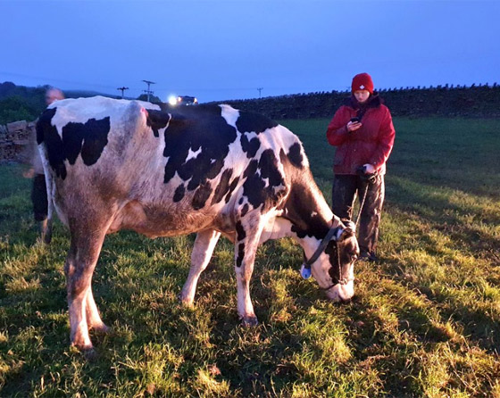 إزالة الخواتم العالقة في الأصابع! أغرب المهام التي قام بها رجال الإطفاء صورة رقم 9