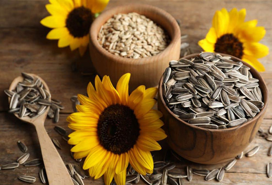 منها الشيا والبطيخ.. 5 بذور للتغلب على حرارة الطقس والوزن الزائد صورة رقم 5