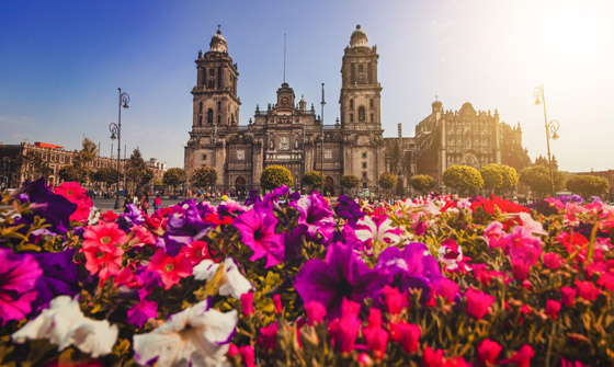 صور: وجهات سياحية مثالية للعوائل وأصحاب الميزانيات المحدودة صورة رقم 6