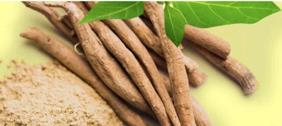 أفضل 6 أعشاب تحسن ذاكرتك وتركيزك صورة رقم 4