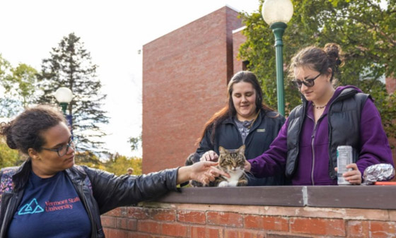 هر يحصل على دكتوراه فخرية من جامعة أمريكية.. ما القصة؟ صورة رقم 1