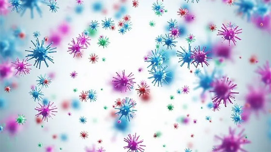 اكتشاف فيروسات ضخمة عمرها 1.5 مليار عام.. والعلماء يطمئنون صورة رقم 4