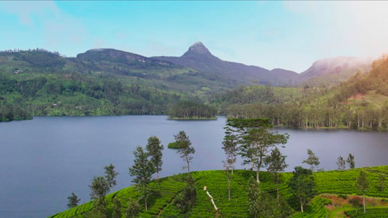 الريفييرا الفرنسية.. من داخل منطقة الأثرياء والمشاهير في جنوب فرنسا صورة رقم 2