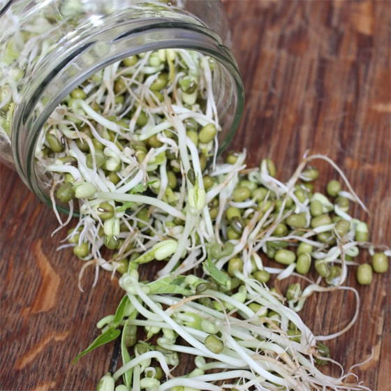 فقدان الوزن والوقاية من الأمراض.. تعرفوا على فوائد حبوب مونج (الماش) صورة رقم 9