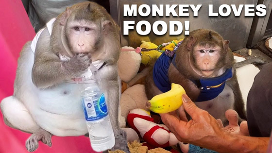 تعرفوا على قصة 