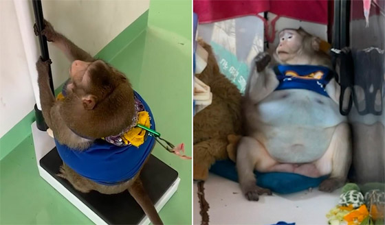 تعرفوا على قصة 