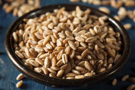 6 أطعمة تحتوي على بروتين أكثر من البيض صورة رقم 6