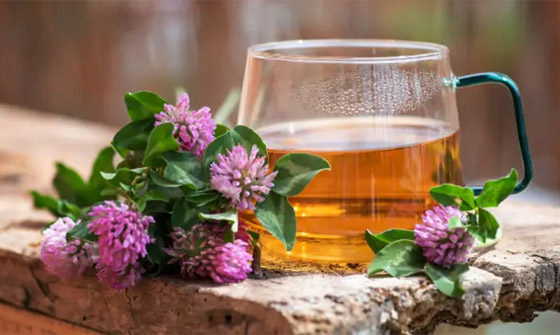 منها برسيم المروج.. 5 أعشاب لتنقية الدم وطرد السموم من الجسم صورة رقم 3