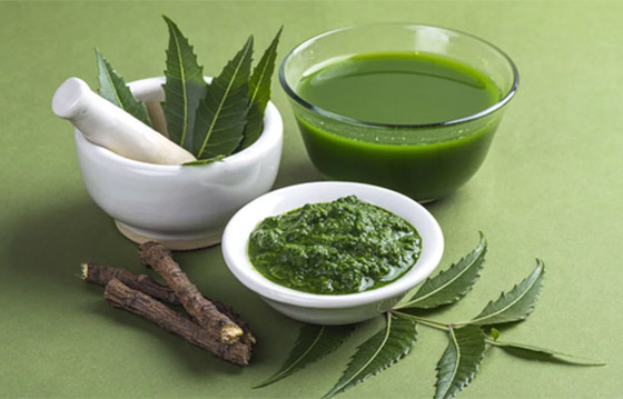 منها برسيم المروج.. 5 أعشاب لتنقية الدم وطرد السموم من الجسم صورة رقم 4