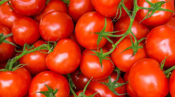 أسباب متعددة تبرز أهمية تناول الطماطم لتعزيز صحة المخ صورة رقم 2