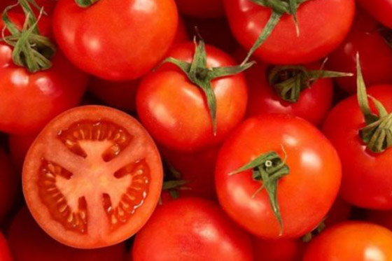 أسباب متعددة تبرز أهمية تناول الطماطم لتعزيز صحة المخ صورة رقم 6