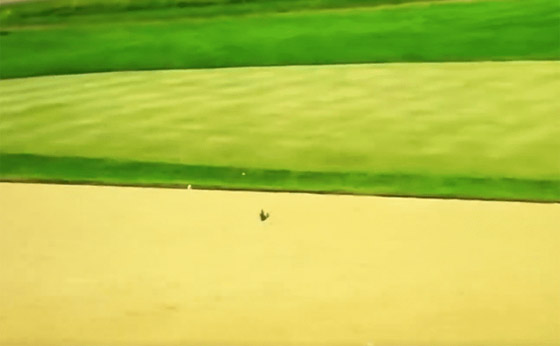 فيديو لا يصدق للاعبة غولف سيئة الحظ.. اصطادت طائرا بكرتها! صورة رقم 6