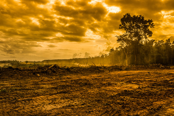 لماذا ارتفعت درجات الحرارة هذا الصيف بشكل غير مسبوق؟ البشر هم السبب! صورة رقم 2