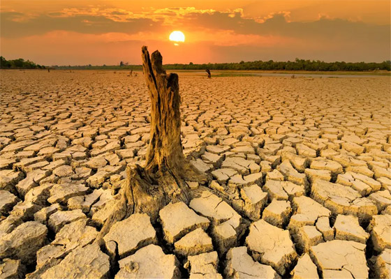 لماذا ارتفعت درجات الحرارة هذا الصيف بشكل غير مسبوق؟ البشر هم السبب! صورة رقم 8