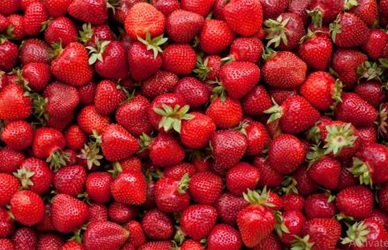 تحمي من الأمراض المزمنة.. إليك أفضل 6 فواكه قليلة السكر صورة رقم 6