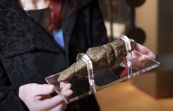 صور: صاحب أكبر مجموعة من البراز المتحجر في العالم يفتتح متحفا صورة رقم 5