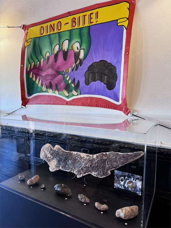 صور: صاحب أكبر مجموعة من البراز المتحجر في العالم يفتتح متحفا صورة رقم 4