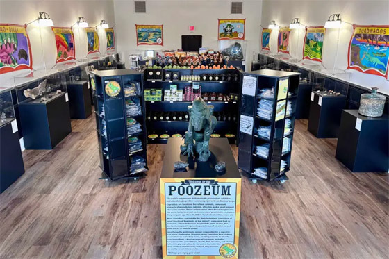 صور: صاحب أكبر مجموعة من البراز المتحجر في العالم يفتتح متحفا صورة رقم 2