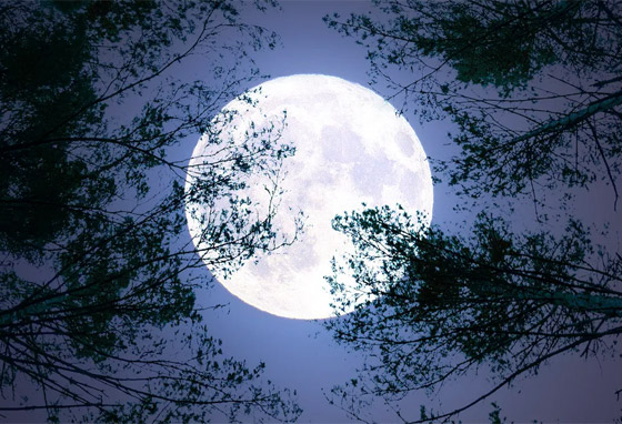 الصراعات بين الدول تنتقل للفضاء: من يملك القمر وثروات العالم الخارجي؟ صورة رقم 11