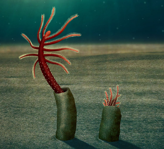 قصة مخلوقات دقيقة دبت الحياة على سطح الأرض صورة رقم 2 قصة مخلوقات دقيقة دبت الحياة على سطح الأرض صورة رقم 2