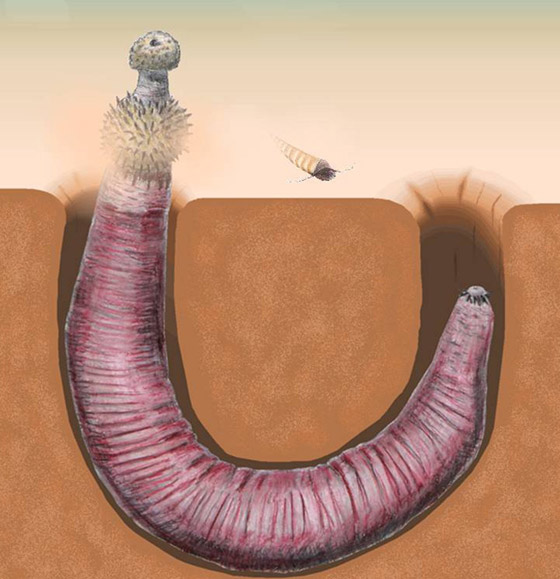 قصة مخلوقات دقيقة دبت الحياة على سطح الأرض صورة رقم 3 قصة مخلوقات دقيقة دبت الحياة على سطح الأرض صورة رقم 3