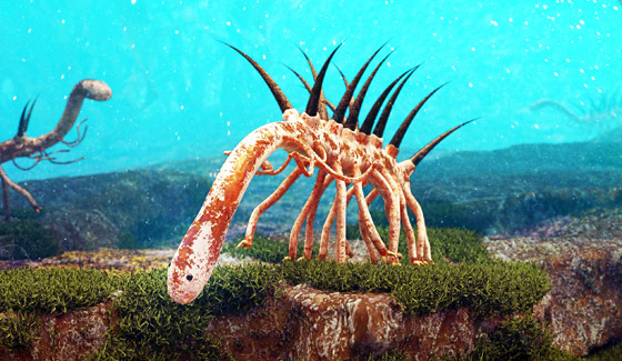 قصة مخلوقات دقيقة دبت الحياة على سطح الأرض صورة رقم 4 قصة مخلوقات دقيقة دبت الحياة على سطح الأرض صورة رقم 4