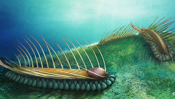 قصة مخلوقات دقيقة دبت الحياة على سطح الأرض صورة رقم 5 قصة مخلوقات دقيقة دبت الحياة على سطح الأرض صورة رقم 5