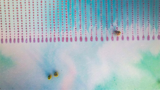 مصور يلتقط أرضا زراعية بعُمان تبدو كوجهة شاطئية تغمرها المياه الزمردية صورة رقم 1 مصور يلتقط أرضا زراعية بعُمان تبدو كوجهة شاطئية تغمرها المياه الزمردية صورة رقم 1