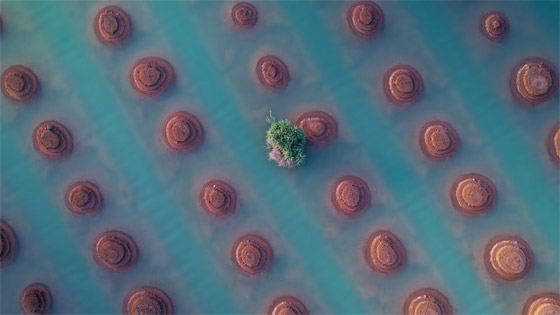 مصور يلتقط أرضا زراعية بعُمان تبدو كوجهة شاطئية تغمرها المياه الزمردية صورة رقم 2 مصور يلتقط أرضا زراعية بعُمان تبدو كوجهة شاطئية تغمرها المياه الزمردية صورة رقم 2