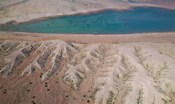 مصور يلتقط أرضا زراعية بعُمان تبدو كوجهة شاطئية تغمرها المياه الزمردية صورة رقم 5 مصور يلتقط أرضا زراعية بعُمان تبدو كوجهة شاطئية تغمرها المياه الزمردية صورة رقم 5
