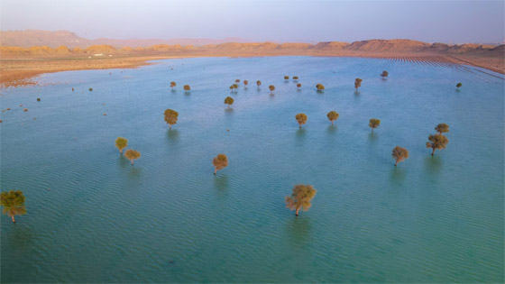 مصور يلتقط أرضا زراعية بعُمان تبدو كوجهة شاطئية تغمرها المياه الزمردية صورة رقم 6 مصور يلتقط أرضا زراعية بعُمان تبدو كوجهة شاطئية تغمرها المياه الزمردية صورة رقم 6