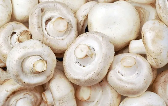 10 أصناف طعام يحتوي على حشرات دون أن تشعر! صورة رقم 6 10 أصناف طعام يحتوي على حشرات دون أن تشعر! صورة رقم 6