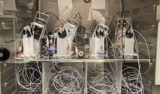 علماء يصنعون كمبيوترا خارقا من خلايا دماغ بشري صورة رقم 7 علماء يصنعون كمبيوترا خارقا من خلايا دماغ بشري صورة رقم 7