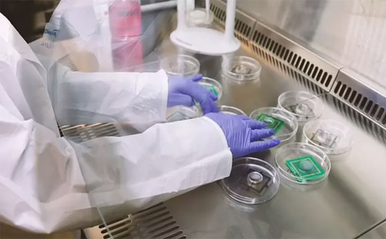 علماء يصنعون كمبيوترا خارقا من خلايا دماغ بشري صورة رقم 2 علماء يصنعون كمبيوترا خارقا من خلايا دماغ بشري صورة رقم 2