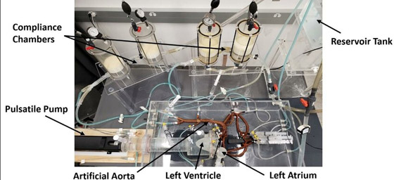 علماء يصنعون كمبيوترا خارقا من خلايا دماغ بشري صورة رقم 6 علماء يصنعون كمبيوترا خارقا من خلايا دماغ بشري صورة رقم 6