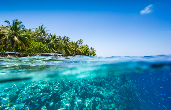 4 وجهات سياحية مناسبة للاستمتاع بالرحلات العائلية في عيد الأضحى صورة رقم 4 4 وجهات سياحية مناسبة للاستمتاع بالرحلات العائلية في عيد الأضحى صورة رقم 4