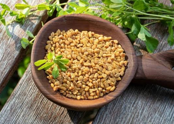 للحصول على وزن صحي.. 5 مثبطات طبيعية للشهية! صورة رقم 2