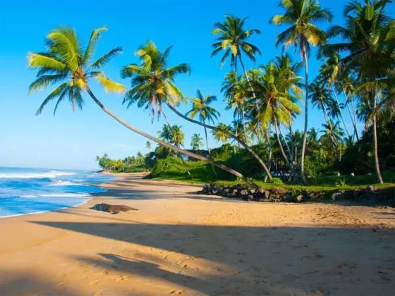 بالصور: إليكم 21 من أشهر وأفضل وأجمل الجزر لشهر العسل صورة رقم 16