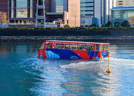 زلاجات الكلاب والأشجار.. إليكم أغرب 10 وسائل لنقل البشر حول العالم صورة رقم 7 زلاجات الكلاب والأشجار.. إليكم أغرب 10 وسائل لنقل البشر حول العالم صورة رقم 7