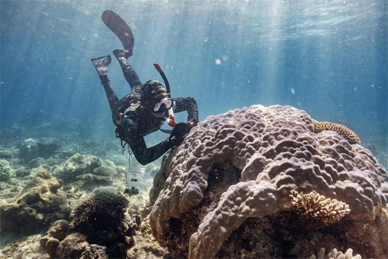 الصور الفوتوغرافية الفائزة للقائمة المختصرة بمسابقة التصوير الصحفي صورة رقم 6