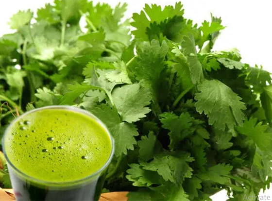 كلمة السر في الكزبرة.. لمن يعانون من احتباس السوائل بالجسم والوزن الزائد صورة رقم 1